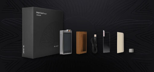 Lotoo PAW Gold Touch - Titanium Edition (Occasion, new battery) - Image 15