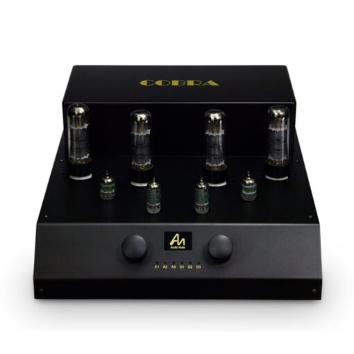 Audio Note Cobra - Image 3