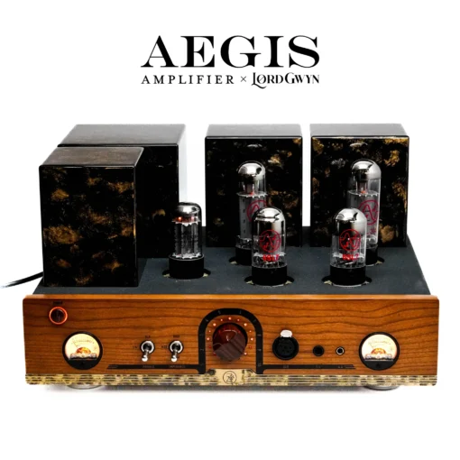 ZMF - Aegis Amplifier - Image 2