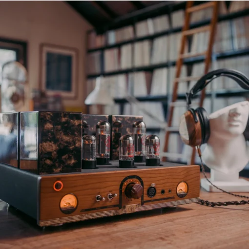 ZMF - Aegis Amplifier - Image 5