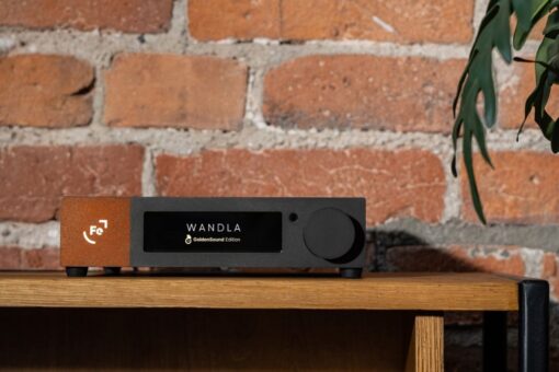 Ferrum Wandla Goldensound Edition - Image 4