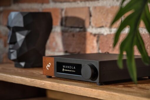 Ferrum Wandla Goldensound Edition - Image 3
